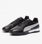Сороконожки мужские Puma King Match Tt Black 107260-01