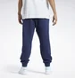 Штаны мужские Reebok Classics Varsity Blue Ic1939