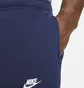 Штаны мужские Nike Sportswear Club Fleece Blue bv2671-410