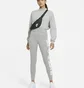Лосини жіночі Nike W Nsw Essntl Lggng Jdi Hr Grey CZ8534-063