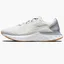 Кроссовки мужские Nike Renew Run 2 Grey CU3504-009