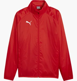 Олимпийка мужская Puma Teamgoal Allwetterjacke Rot F01 Red 659038-01