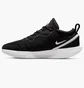 Кроссовки мужские Nike Zoom Court Pro Black/White Dh2603-010