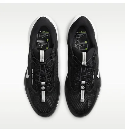 Кросівки чоловічі Nike Pegasus Easyon Black FQ7837-002