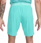 Шорты мужские Nike Shorts Fcb M Nk Dfadv Match Short 3R 2023/24 Turquoise DX9768-486