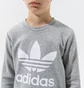 Свитшот детский Adidas Trefoil Crew B Grey GD2709