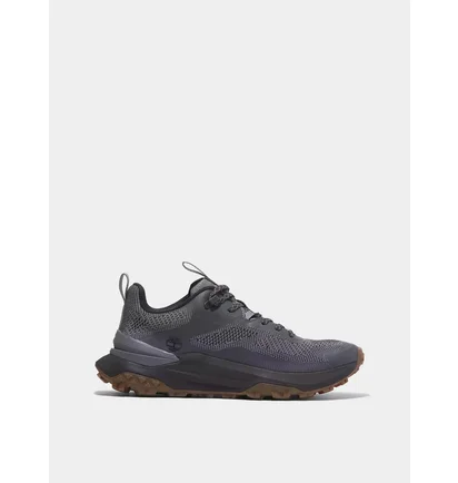 Кросівки чоловічі Timberland Motion Access Low Grey TB0A6DJKEX