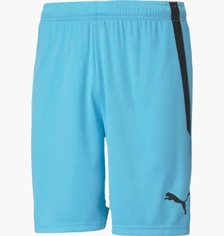 Шорти чоловічі Puma Teamliga Shorts Light Blue 704924-40