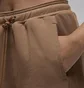 Штаны мужские Air Jordan Air Pants Brown FZ2134-223