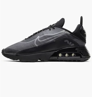 Кроссовки мужские Nike Air Max 2090 Black BV9977-001