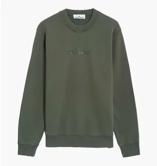Свитшот мужской Stone Island Institutional Green 811566182V0059