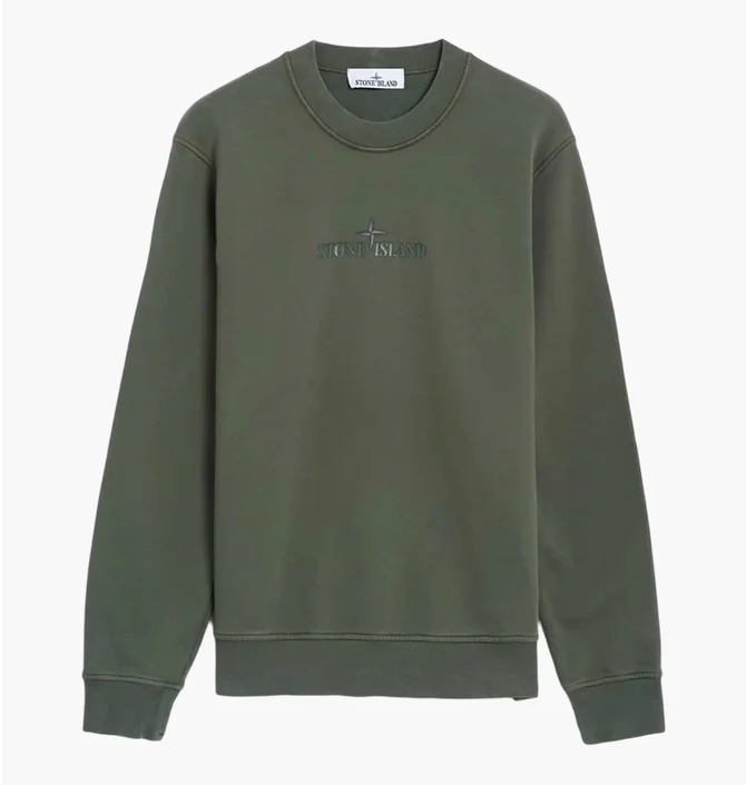 Світшот чоловічий Stone Island Institutional Green 811566182V0059