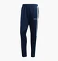 Штаны мужские Adidas Sere19 Trg Pnt Blue DY3134