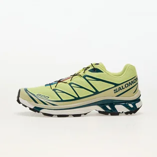 Кроссовки мужские Salomon Xt-6 Green L47445200