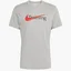 Футболка мужская Nike Dfc Tee Sw Training Grey CZ7989-063