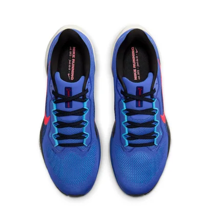 Кросівки чоловічі Nike Air Zoom Pegasus 41 Blue FD2722-401
