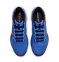 Кросівки чоловічі Nike Air Zoom Pegasus 41 Blue FD2722-401