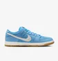 Кросівки чоловічі Nike Dunk Low Sb Blue FJ1674-401