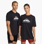Футболка мужская Nike Dri-Fit Black Dm5412-010