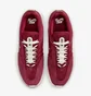 Кросівки чоловічі Nike Vertebrae Sb Bordo FD4691-600