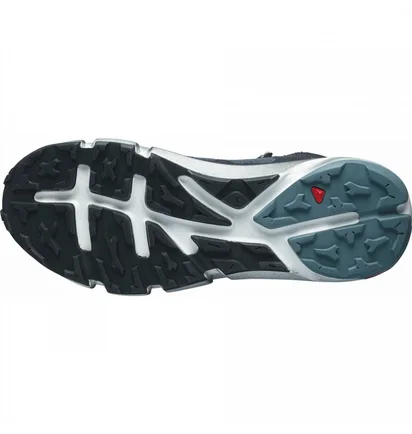 Черевики чоловічі Salomon Predict Hike Mid Gore-Tex Walking Boots Grey L41460900