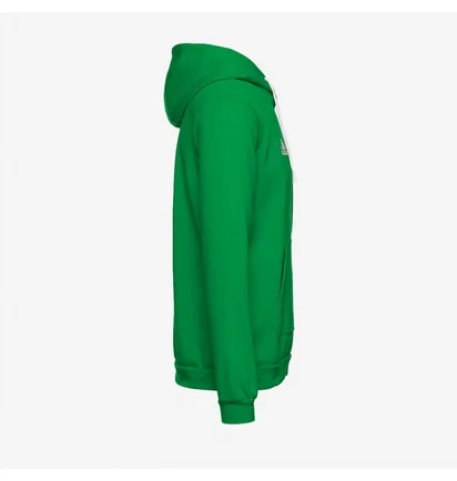 Худи мужское Adidas Entrada 22 Pullover Hoody Green HI2141