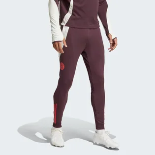 Штаны мужские Adidas Fc Bayern Tiro 24 Training Bordo IS9939