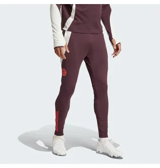 Штани чоловічі Adidas Fc Bayern Tiro 24 Training Bordo IS9939
