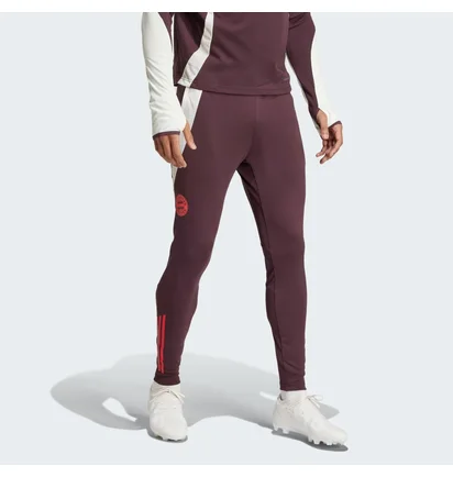 Штаны мужские Adidas Fc Bayern Tiro 24 Training Bordo IS9939