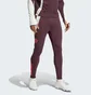 Штаны мужские Adidas Fc Bayern Tiro 24 Training Bordo IS9939