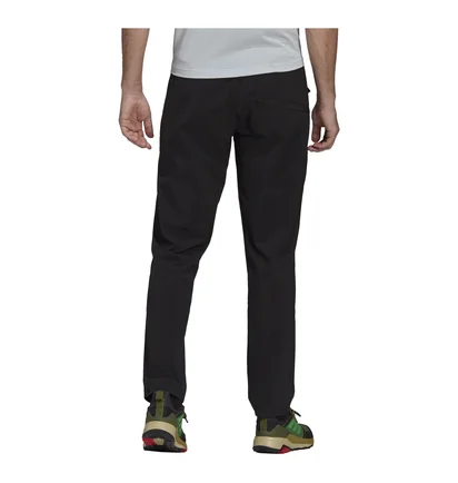 Штаны мужские Adidas Terrex Liteflex Hiking Pants Black GI7310