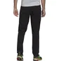 Штаны мужские Adidas Terrex Liteflex Hiking Pants Black GI7310