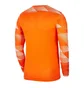 Кофта мужская Nike Dry Park Iv Orange Cj6066-819