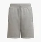 Шорты детские Adidas Originals Adicolor Grey HD2062