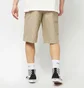 Шорти чоловічі Dickies 13 Inch Multi Pocket Beige DK0A4XOZKHK1