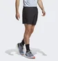 Шорты мужские Adidas Terrex Multi Shorts Black Hm4013