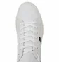 Кросівки чоловічі Lacoste Sideline White 737CMA0029407
