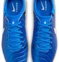 Бутси унісекс Nike Legend 10 Pro Fg Blue DV4333-400