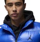 Жилетка чоловіча Air Jordan Flight Dwn Blue FV7273-480