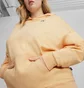 Худи женское Puma Better Essentials Hoodie Tr Beige 675988-45