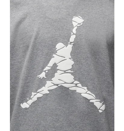 Футболка чоловіча Air Jordan T-Shirt Essentials Grey DX9581-091