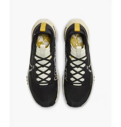 Кроссовки мужские Nike Pegasus Trail 4 Gore-Tex Black DJ7926-005