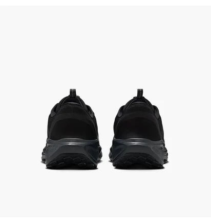 Кроссовки мужские Nike Pegasus Easyon Black FQ7837-001