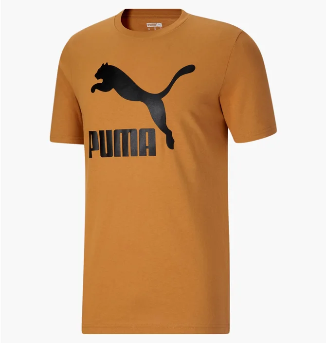 Футболка мужская Puma Classics Logo Tee Orange 670435-74