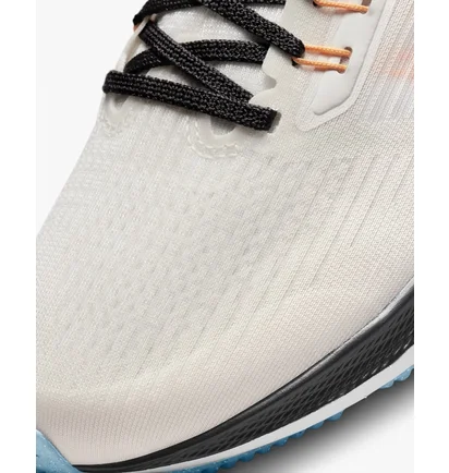 Кросівки жіночі Nike Pegasus 39 White Dh4072-006