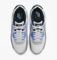 Кросівки чоловічі Nike Air Max 90 Grey Dq4071-101
