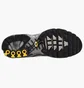 Кросівки чоловічі Nike Air Max Plus Grey IM5983-070