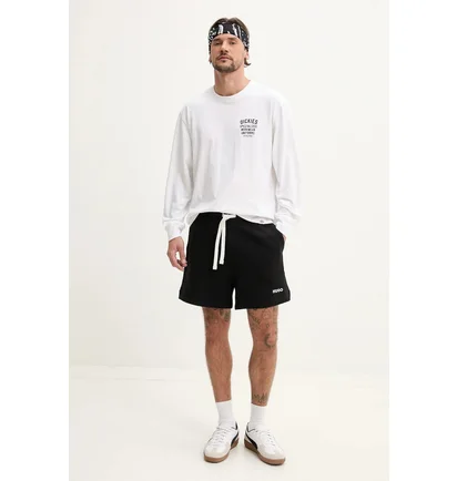 Лонгслів чоловічий Dickies Longsleeve White DK0A4Z930WH1