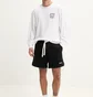 Лонгслів чоловічий Dickies Longsleeve White DK0A4Z930WH1