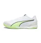 Футзалки мужские Puma Ibero Iv White 107418-01